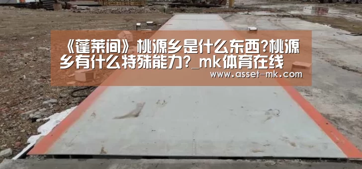 《蓬莱间》桃源乡是什么东西?桃源乡有什么特殊能力?_mk体育在线(图3) mk体育在线