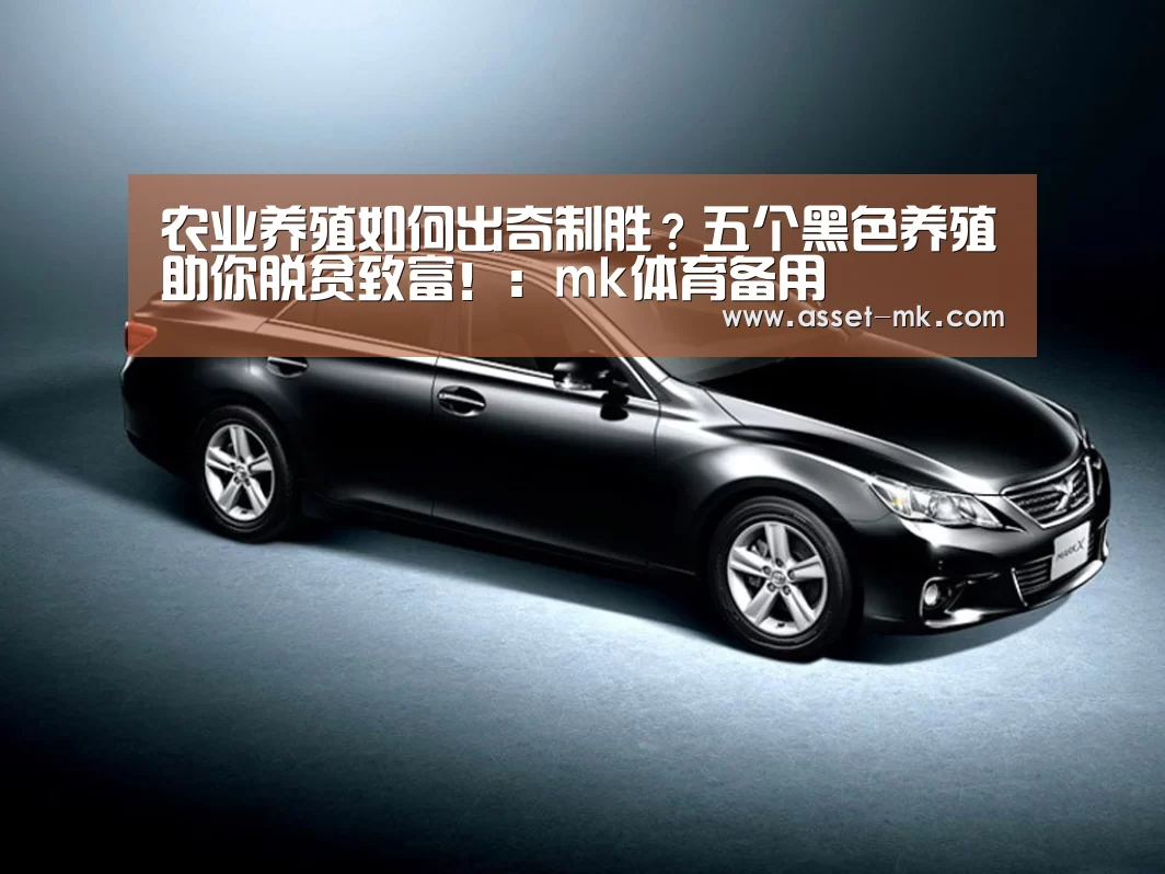 农业养殖如何出奇制胜？五个黑色养殖助你脱贫致富！：mk体育备用
