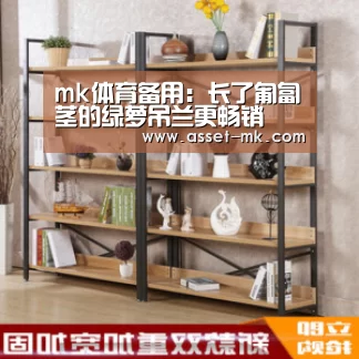mk体育备用