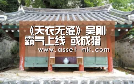 《天衣无缝》吴刚霸气上线  或成猎谍行动“控场王”‘mk体育app’