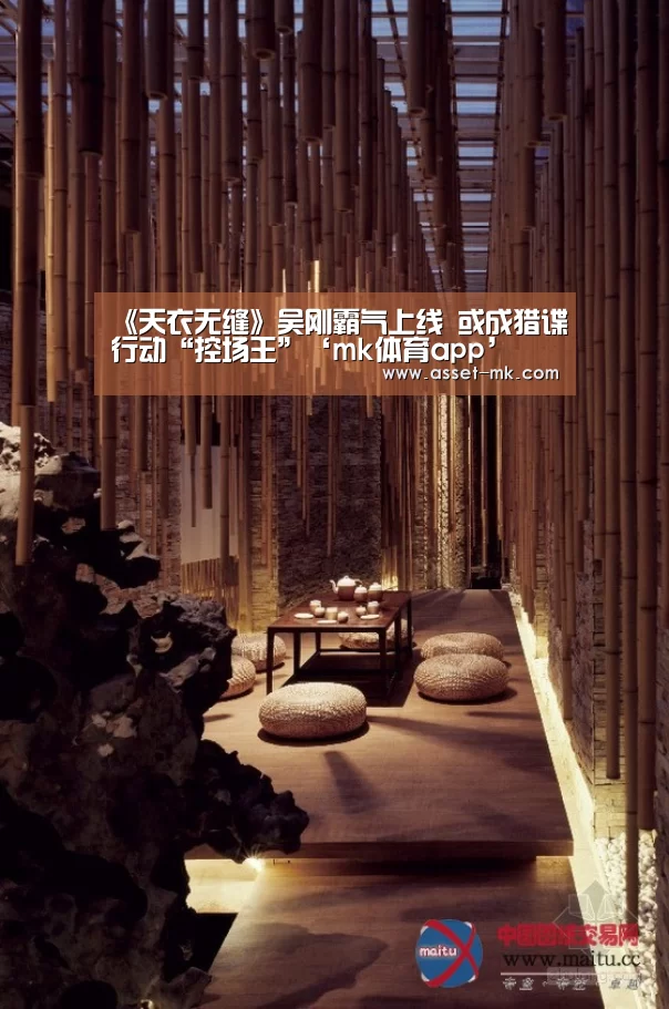 《天衣无缝》吴刚霸气上线 或成猎谍行动“控场王”‘mk体育app’(图2) mk体育app
