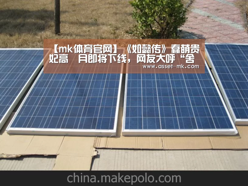 mk体育在线