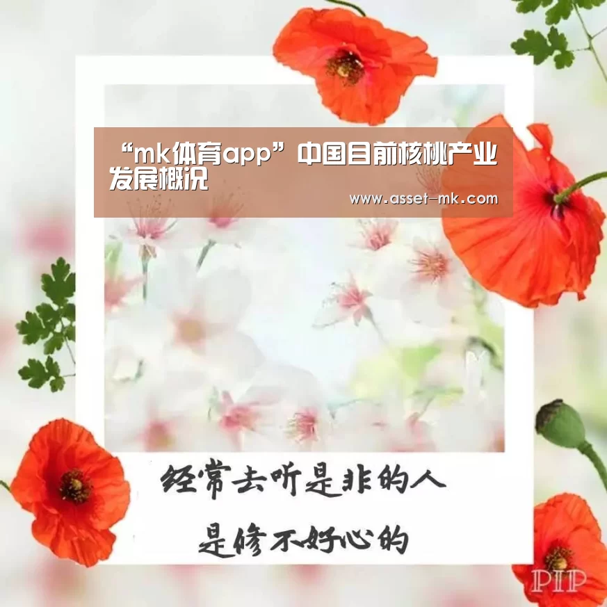 mk体育官网