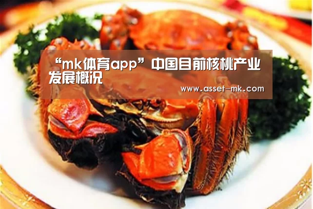 mk体育官网