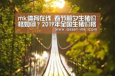 mk体育app